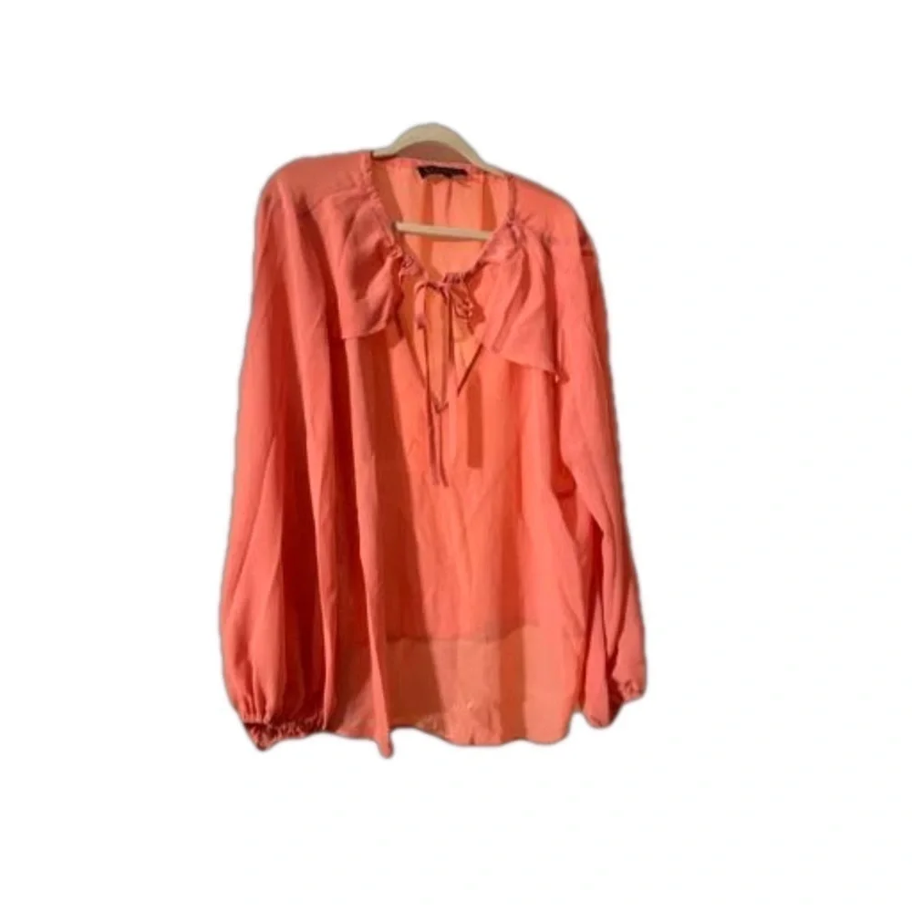 NWT Eloquii light peach  sheer lantern sleeves blouse  size 24 🧡OB red black - Picture 2 of 5